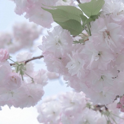 Furry绘画构图指南福瑞群